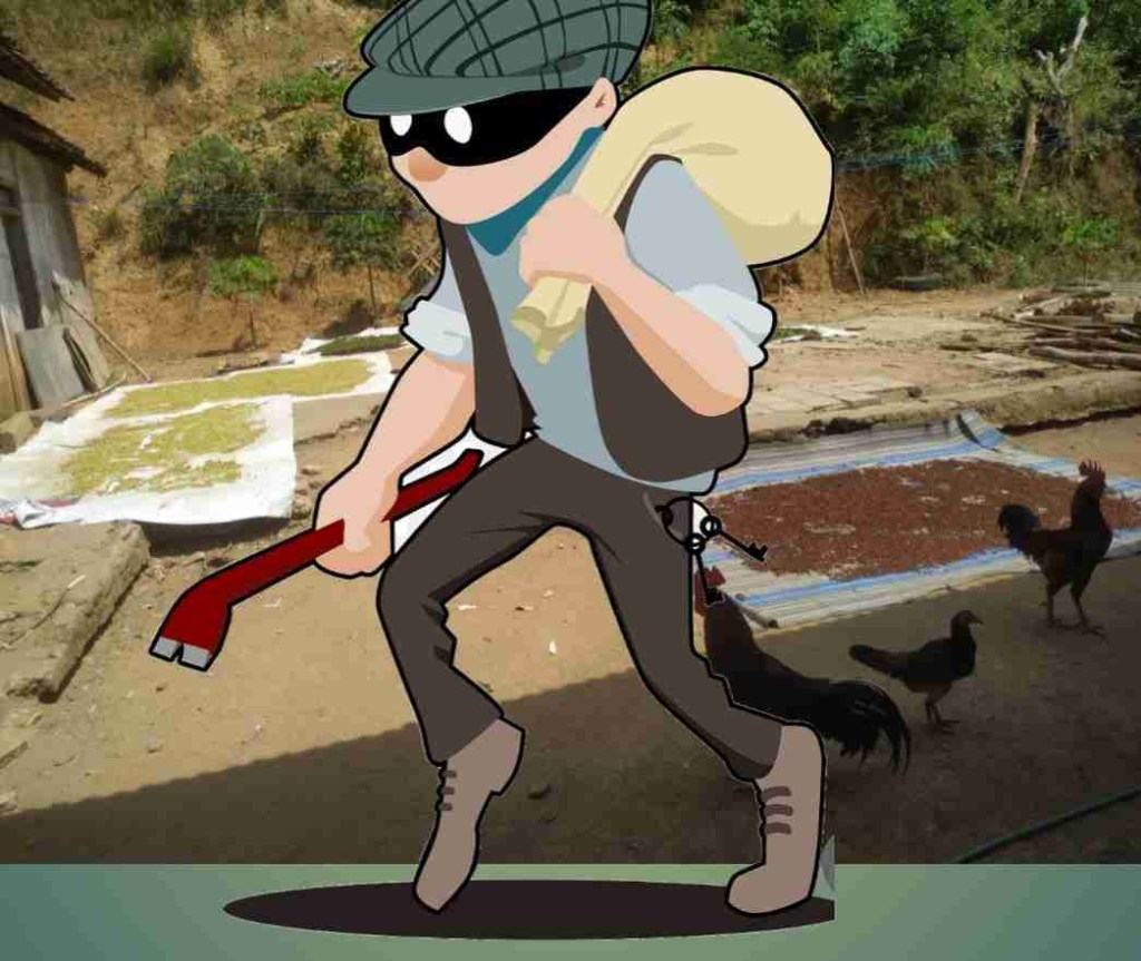 Harga Tinggi, Pencuri Cengkeh Beraksi